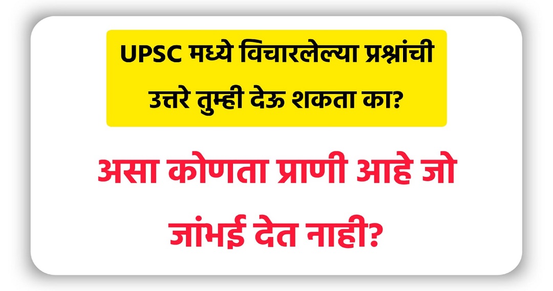 UPSC च्या परीक्षेत विचारले जातात असे फिरकी घेणारे प्रश्न. पहा तुम्ही देऊ शकता का उत्तर?